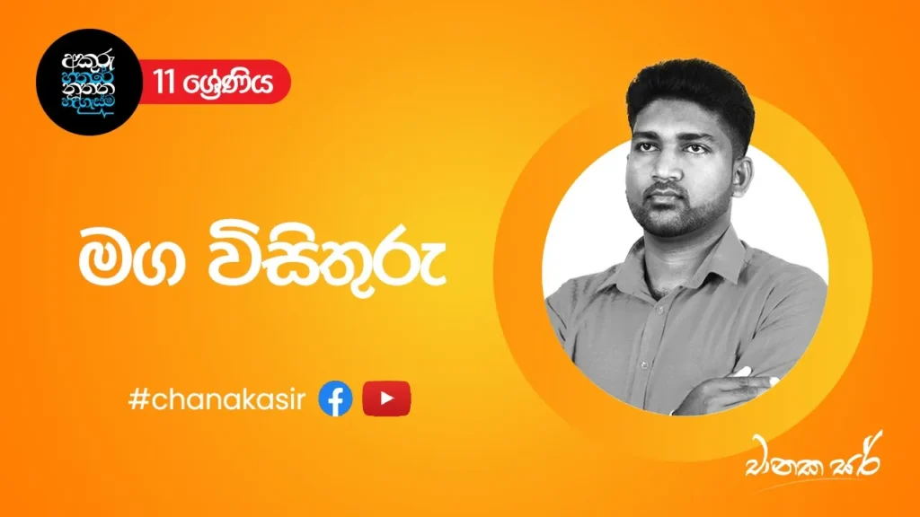 සැළලිහිණි සංදේශය – මග විසිතුරු – 01 | Sinhala with Chanaka sir | Grade 11