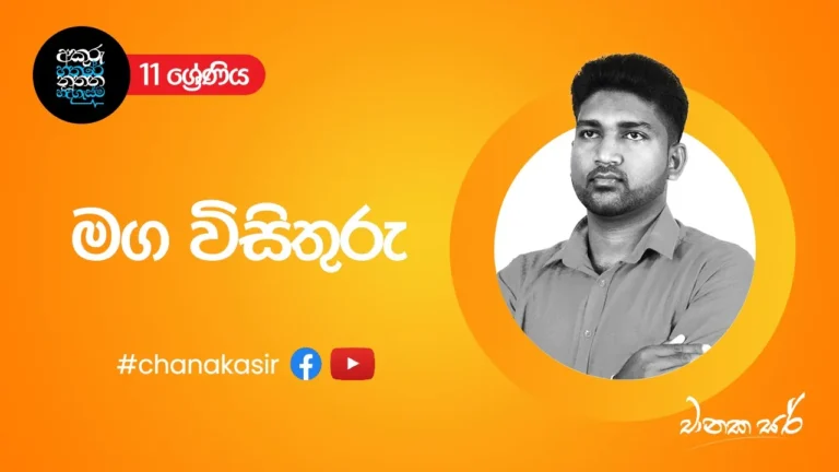සැළලිහිණි සංදේශය - මග විසිතුරු - 01 | Sinhala with Chanaka sir | Grade 11