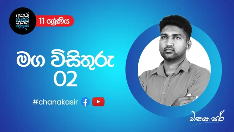 සැළලිහිණි සංදේශය - මග විසිතුරු - 02 | Sinhala with Chanaka sir | Grade 11