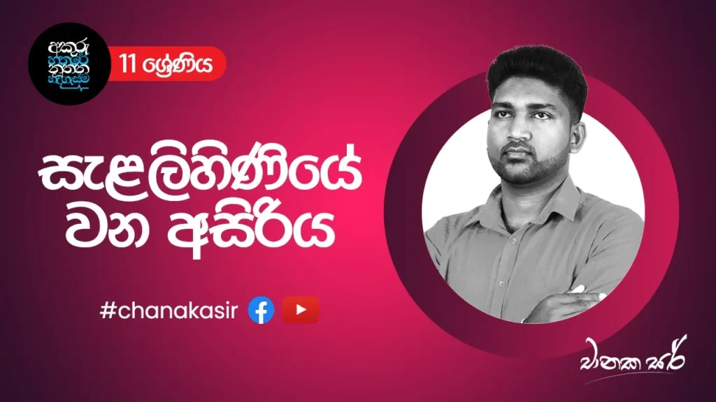 සැළලිහිණියේ වන අසිරිය | Sinhala with Chanaka sir | Grade 11